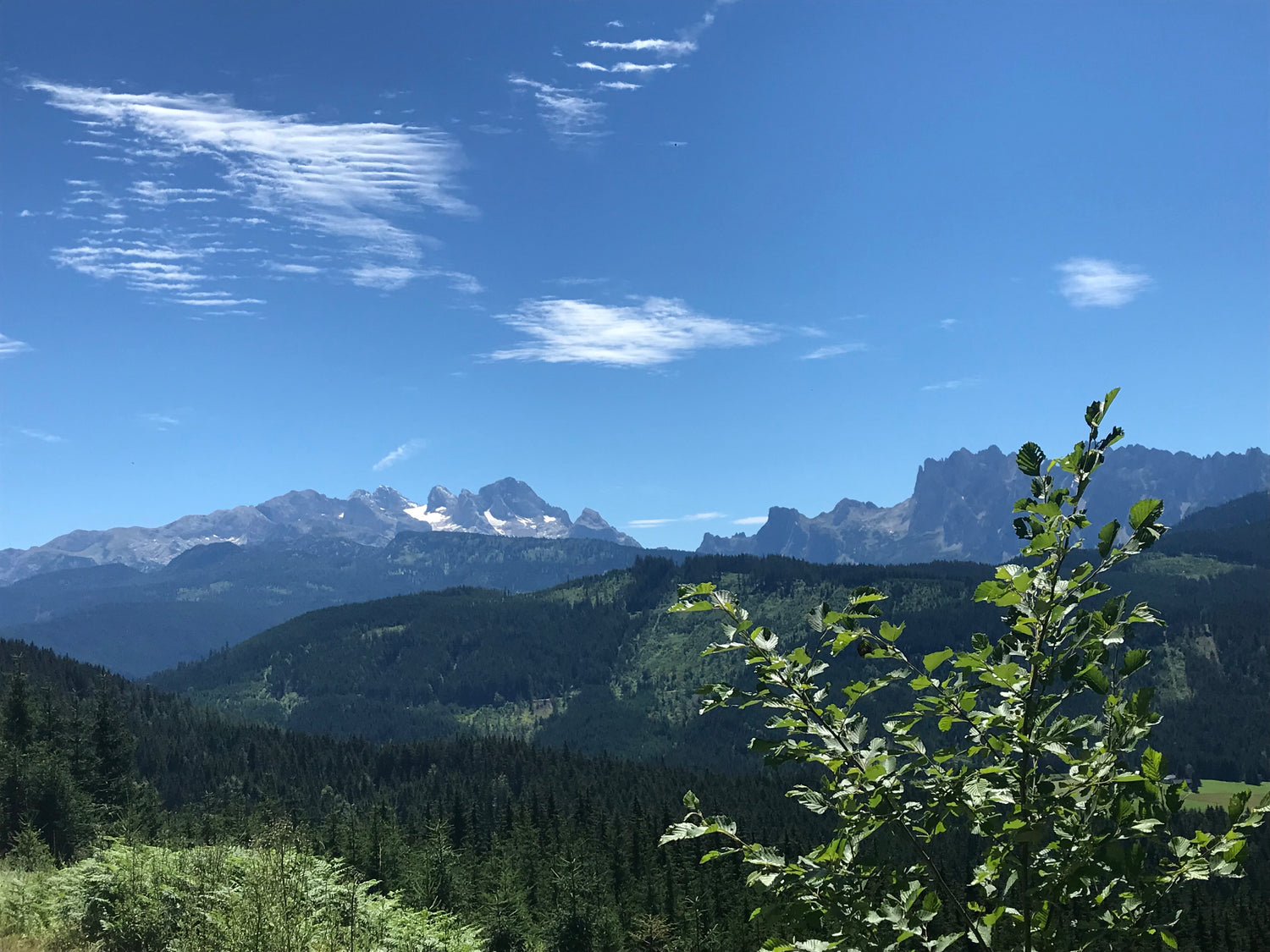 Alpenpanorama Mittersill